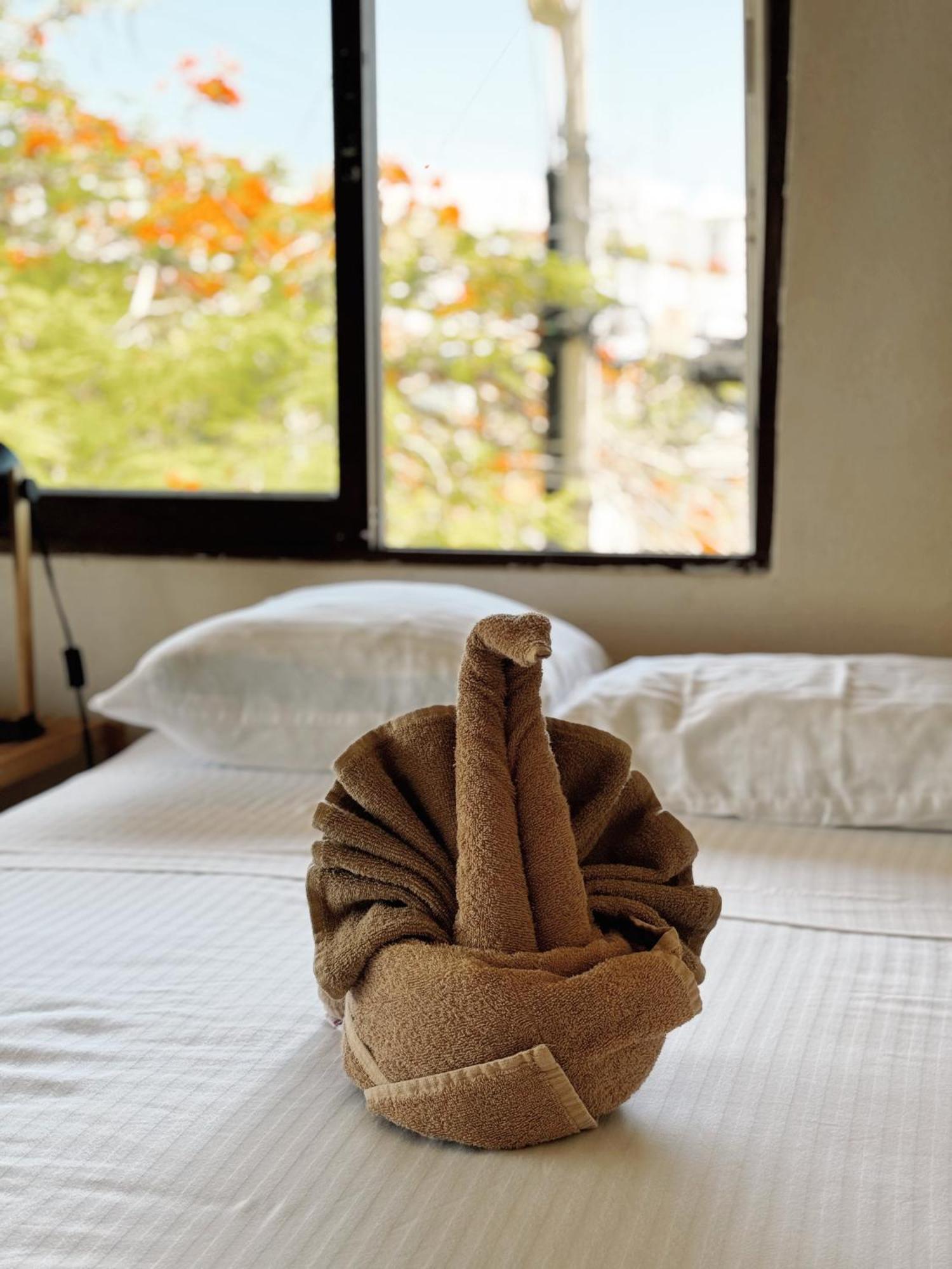 3B Wellness Hotel & Hostel Adults Only بلايا ديل كارمن المظهر الخارجي الصورة