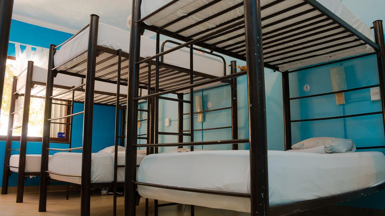 3B Wellness Hotel & Hostel Adults Only بلايا ديل كارمن المظهر الخارجي الصورة